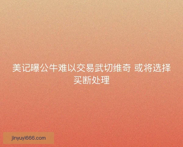 美记曝公牛难以交易武切维奇 或将选择买断处理